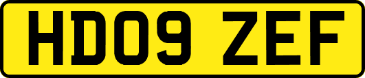 HD09ZEF