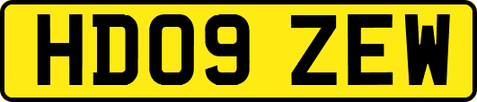 HD09ZEW