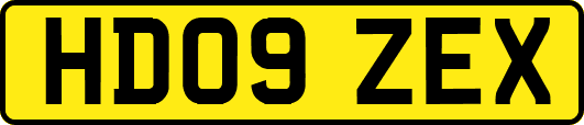 HD09ZEX