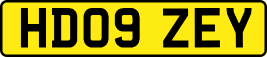 HD09ZEY