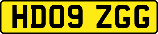 HD09ZGG