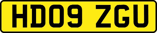 HD09ZGU