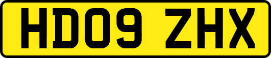 HD09ZHX
