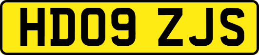 HD09ZJS