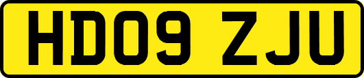 HD09ZJU