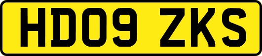 HD09ZKS
