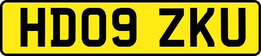 HD09ZKU