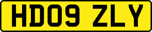 HD09ZLY