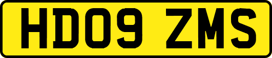 HD09ZMS