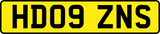 HD09ZNS