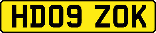 HD09ZOK