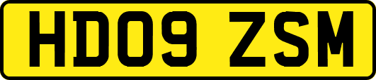 HD09ZSM