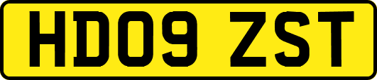 HD09ZST