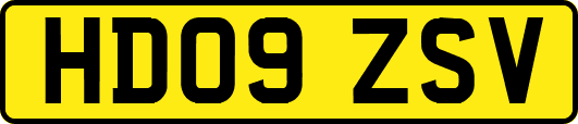 HD09ZSV