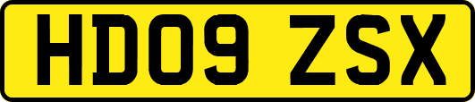 HD09ZSX