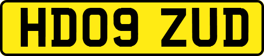 HD09ZUD