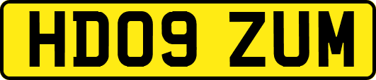 HD09ZUM