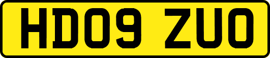 HD09ZUO