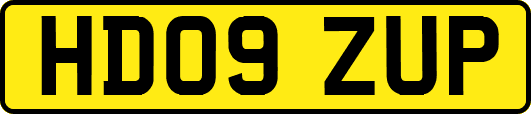 HD09ZUP