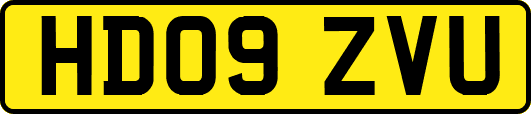 HD09ZVU