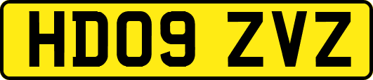 HD09ZVZ