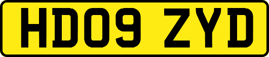 HD09ZYD