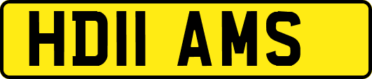 HD11AMS