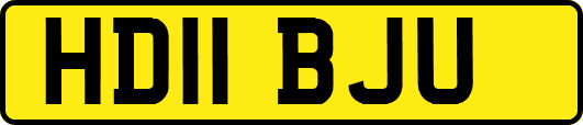 HD11BJU
