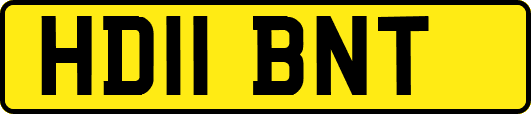 HD11BNT