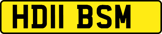 HD11BSM