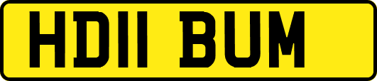 HD11BUM