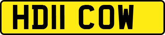 HD11COW