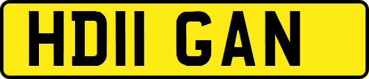HD11GAN
