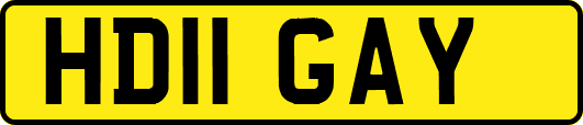 HD11GAY