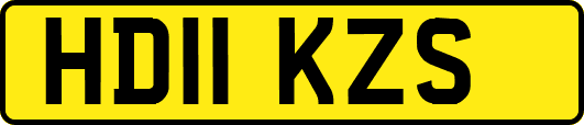 HD11KZS