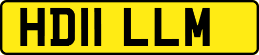 HD11LLM