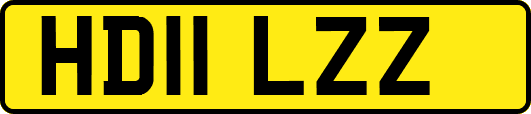HD11LZZ