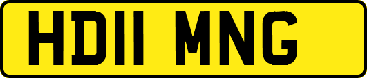 HD11MNG