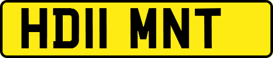 HD11MNT