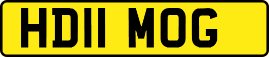 HD11MOG