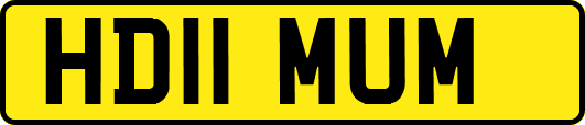 HD11MUM