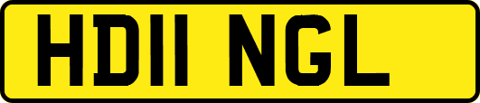 HD11NGL
