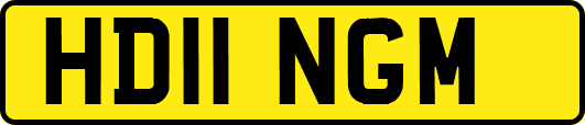 HD11NGM