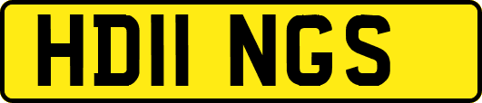 HD11NGS