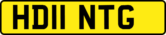HD11NTG