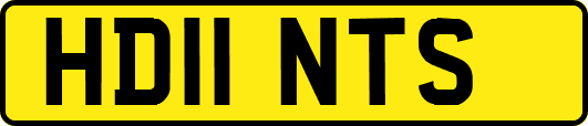 HD11NTS