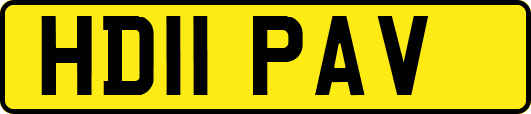 HD11PAV