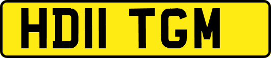 HD11TGM