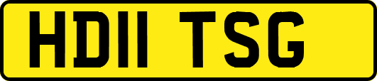 HD11TSG