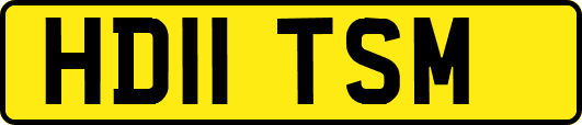 HD11TSM